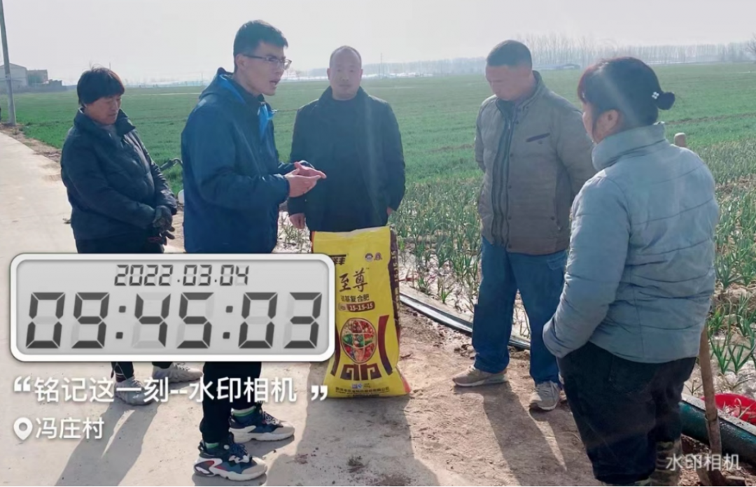 3月4日，跟踪布置洋丰至尊示范田块.jpg