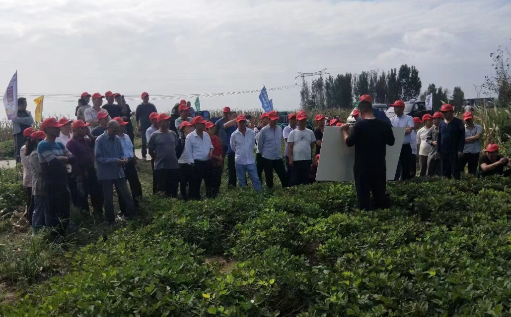 种植户田间围观.jpg